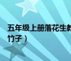 五年級上冊落花生教學(xué)設(shè)計(jì)（五年級上冊語文落花生小練筆竹子）