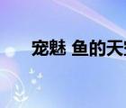 寵魅 魚的天空 小說（寵魅 魚的天空）