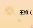 王維（說一說王維的簡介）
