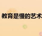 教育是慢的藝術內(nèi)容簡介（教育是慢的藝術）