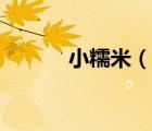 小糯米（說一說小糯米的簡介）