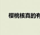 櫻桃核真的有毒嗎?（櫻桃核是否有毒）