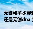 無(wú)創(chuàng)和羊水穿刺的區(qū)別哪個(gè)效果好（羊水穿刺還是無(wú)創(chuàng)dna）