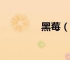 黑莓（說一說黑莓的簡介）