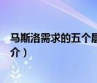 馬斯洛需求的五個層次（說一說馬斯洛需求的五個層次的簡介）