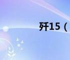 殲15（說一說殲15的簡介）
