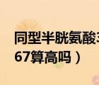 同型半胱氨酸36.8怎么辦（同型半胱氨酸36.67算高嗎）
