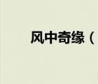 風(fēng)中奇緣（說(shuō)一說(shuō)風(fēng)中奇緣的簡(jiǎn)介）