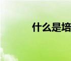 什么是培優(yōu)轉差（什么是培優(yōu)）