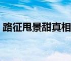 路征甩景甜真相是什么（路征甩景甜的真相）