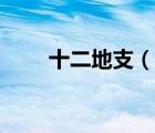 十二地支（說一說十二地支的簡介）