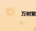 萬樹繁花歌詞（繁花歌詞）