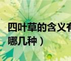 四葉草的含義有哪幾種圖片（四葉草的含義有哪幾種）