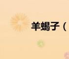 羊蝎子（說一說羊蝎子的簡介）