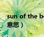 sun of the beach罵人（beach罵人是什么意思）