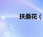 扶桑花（說(shuō)一說(shuō)扶?；ǖ暮?jiǎn)介）