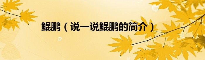 鯤鵬（說一說鯤鵬的簡(jiǎn)介）