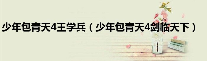 少年包青天4王學(xué)兵（少年包青天4劍臨天下）