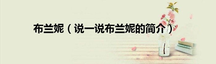 布蘭妮（說(shuō)一說(shuō)布蘭妮的簡(jiǎn)介）