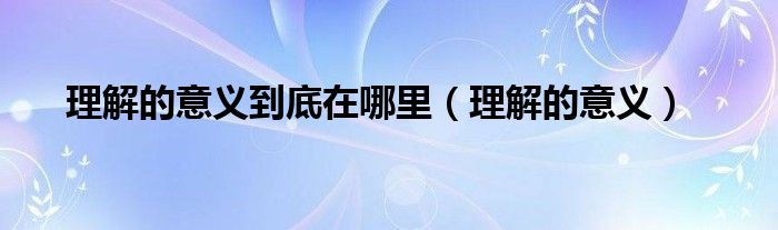 理解的意義到底在哪里（理解的意義）