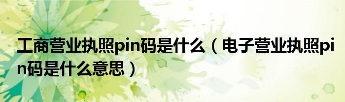 工商營業(yè)執(zhí)照pin碼是什么（電子營業(yè)執(zhí)照pin碼是什么意思）