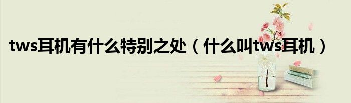 tws耳機(jī)有什么特別之處（什么叫tws耳機(jī)）