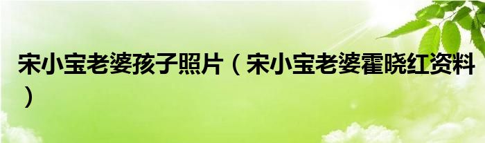 宋小寶老婆孩子照片（宋小寶老婆霍曉紅資料）