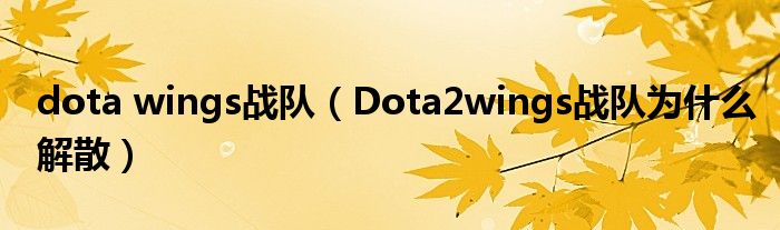 dota wings戰(zhàn)隊(duì)（Dota2wings戰(zhàn)隊(duì)為什么解散）