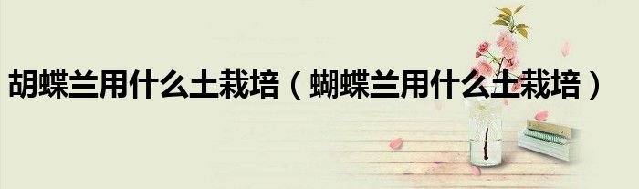 胡蝶蘭用什么土栽培（蝴蝶蘭用什么土栽培）
