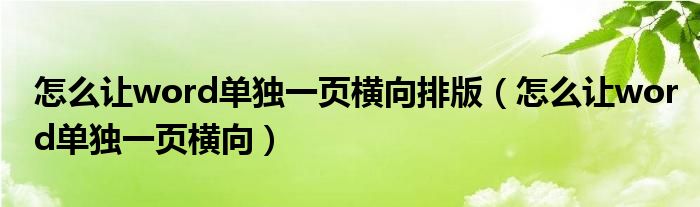 怎么讓word單獨一頁橫向排版（怎么讓word單獨一頁橫向）
