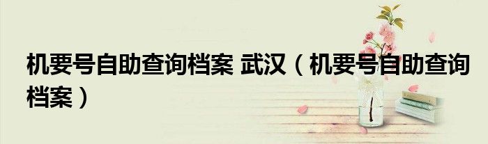 機(jī)要號(hào)自助查詢檔案 武漢（機(jī)要號(hào)自助查詢檔案）