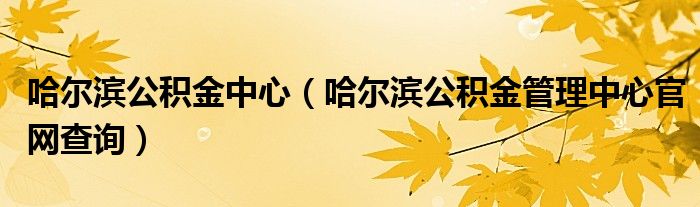 哈爾濱公積金中心（哈爾濱公積金管理中心官網(wǎng)查詢）