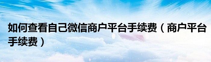 如何查看自己微信商戶平臺手續(xù)費（商戶平臺手續(xù)費）