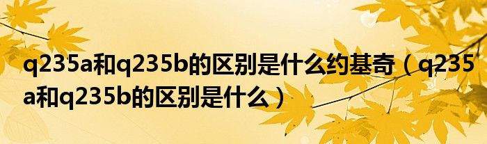 q235a和q235b的區(qū)別是什么約基奇（q235a和q235b的區(qū)別是什么）