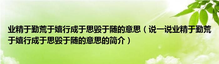業(yè)精于勤荒于嬉行成于思毀于隨的意思（說一說業(yè)精于勤荒于嬉行成于思毀于隨的意思的簡介）