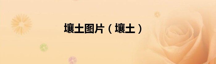 壤土圖片（壤土）