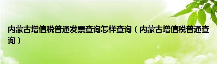 內(nèi)蒙古增值稅普通發(fā)票查詢怎樣查詢（內(nèi)蒙古增值稅普通查詢）