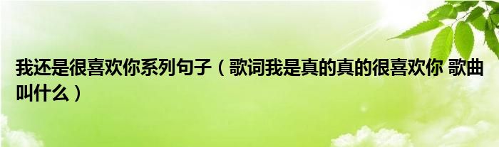 我還是很喜歡你系列句子（歌詞我是真的真的很喜歡你 歌曲叫什么）