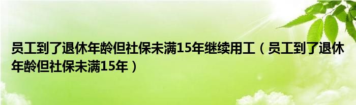 員工到了退休年齡但社保未滿15年繼續(xù)用工（員工到了退休年齡但社保未滿15年）