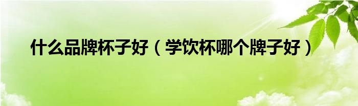 什么品牌杯子好（學(xué)飲杯哪個牌子好）