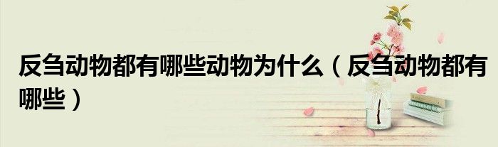 反芻動物都有哪些動物為什么（反芻動物都有哪些）