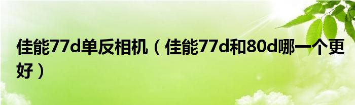 佳能77d單反相機（佳能77d和80d哪一個更好）