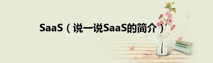 SaaS（說一說SaaS的簡介）
