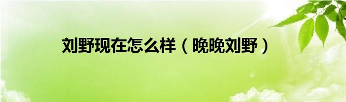 劉野現(xiàn)在怎么樣（晚晚劉野）