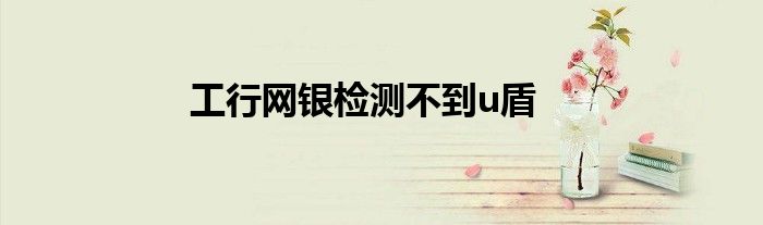 工行網(wǎng)銀檢測不到u盾