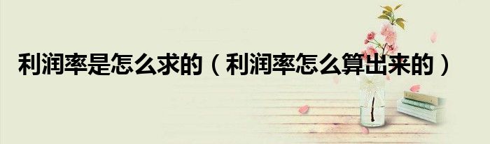 利潤(rùn)率是怎么求的（利潤(rùn)率怎么算出來的）