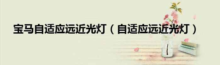 寶馬自適應(yīng)遠(yuǎn)近光燈（自適應(yīng)遠(yuǎn)近光燈）