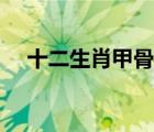 十二生肖甲骨文圖片（十二生肖甲骨文）
