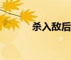 殺入敵后在線觀看（殺入敵后）