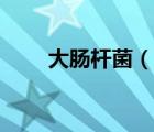 大腸桿菌（說一說大腸桿菌的簡介）